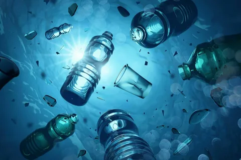 Plastik Çirklənməsi Haqqında Bilməli Olduğunuz Hər Şey